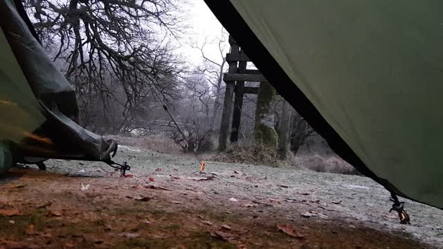 Inside a tent looking out.12th Dec 2022