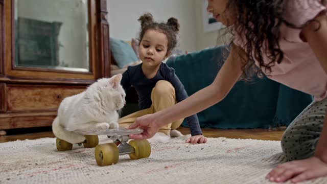 Two kids playing with cute cat on slide with wheel🐱🐱🤪🤪