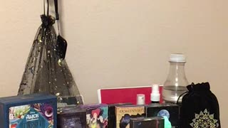 Alice in Wonderland Reading #viral #tarot #oracle #reading #message