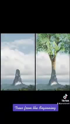 TREES from the BEGINNING?