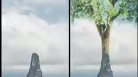 TREES from the BEGINNING?