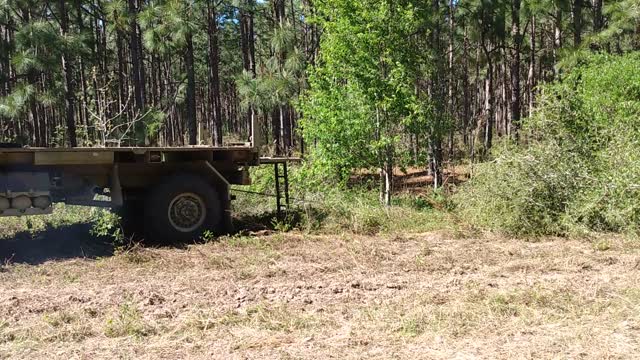 Tree pullin'