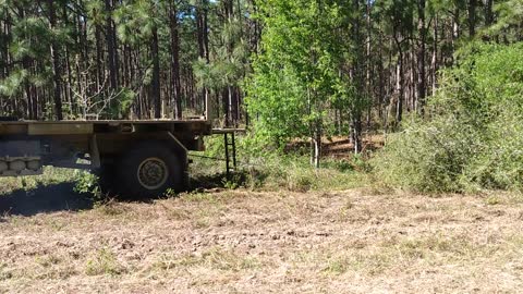 Tree pullin'