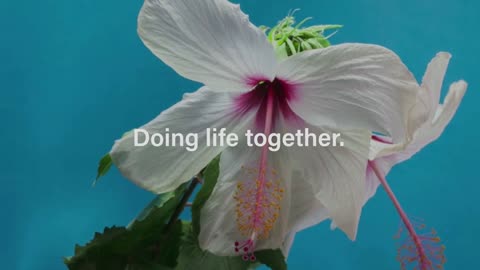 Pastor Pat McDonald - The Cup Part 2 - Sunday, August 8, 2021