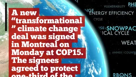 COP15 deal reached to save Earth’s biodiversity, costing $200 billion annually
