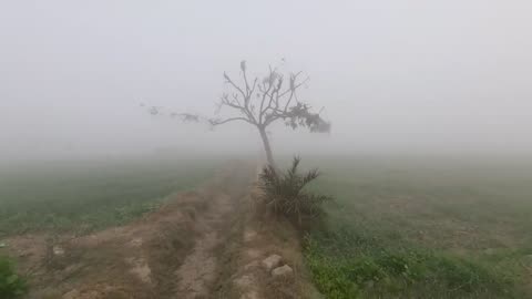 #Beautifull_Morning