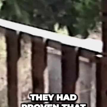 ⚡️🇺🇸⚡️On this day in 1992 the US Marshalls, FBI, and ATF began their siege on the,