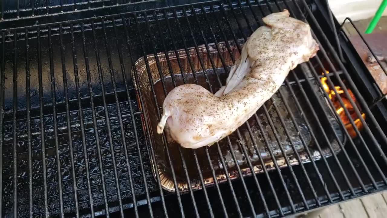 Grilled Cat - Tastes like Boston Terrier!