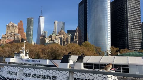 NYC National Parks: Statue of Liberty 3