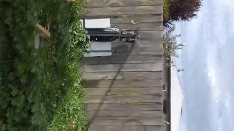 Living next door to crack heads!