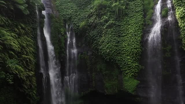 Relaxing Music, Stress Relief, Meditation Music