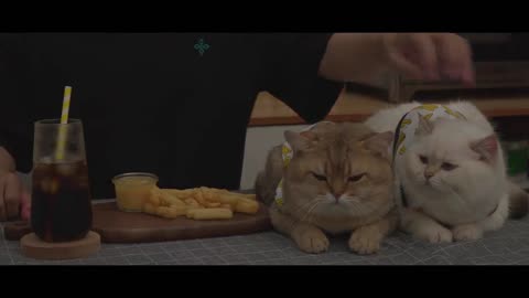 Crispy French Fries & Cheese Sauce | EasyPeasy333