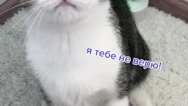 Что было не так😰