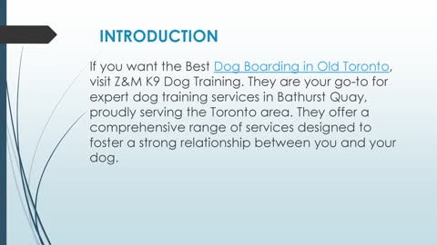 Best Dog Boarding in Old Toronto