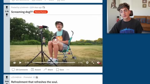 addressing the screaming dog controversy Soothing Sounds: Addressing the Screaming Dog Controversy