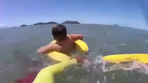 Incredible sea rescue in Brazil