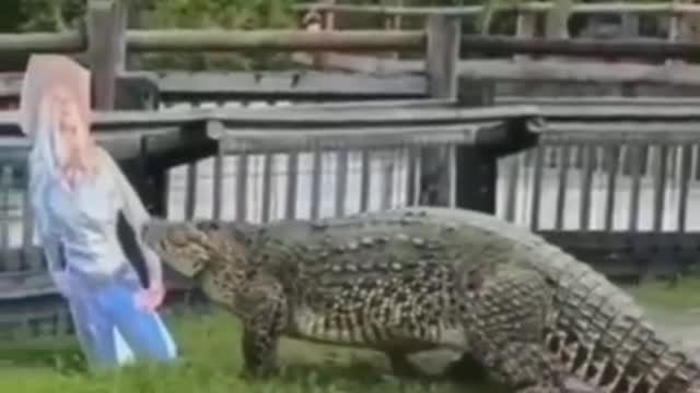 Crocodile mistakes image for real person and brutally attacks