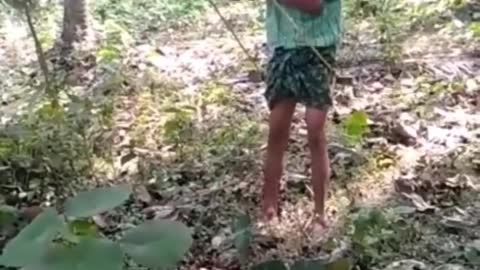 funny Accident