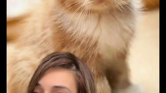 Replying to you did your cat hear it!!!