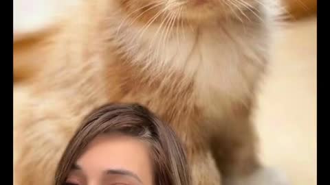 Replying to you did your cat hear it!!!