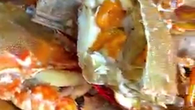 Seafood overload
