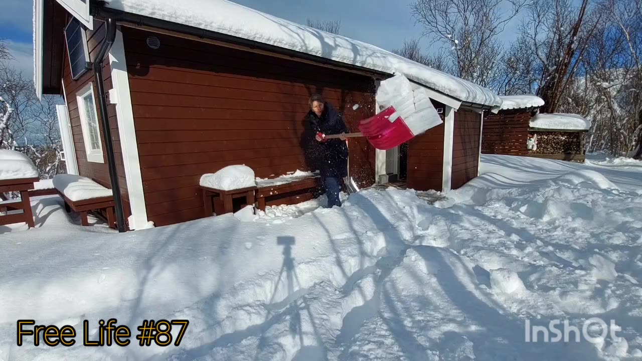 Free Life #87