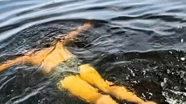 Jump into the deepest lake - Ralph de Jongh