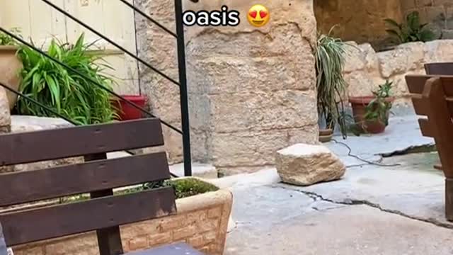 This is the most incredible hostel breakfast in a courtyardoasis