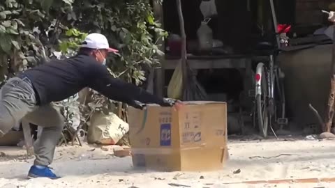 funny dog prank