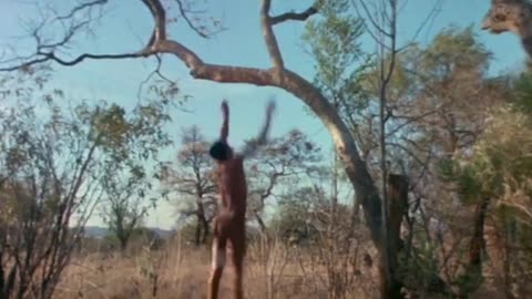 The Gods Must Be Crazy 1984 Movie funny Lion scene ( 362 X 854 )