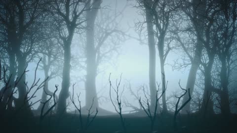 High Strangeness; Unveiling the Paranormal