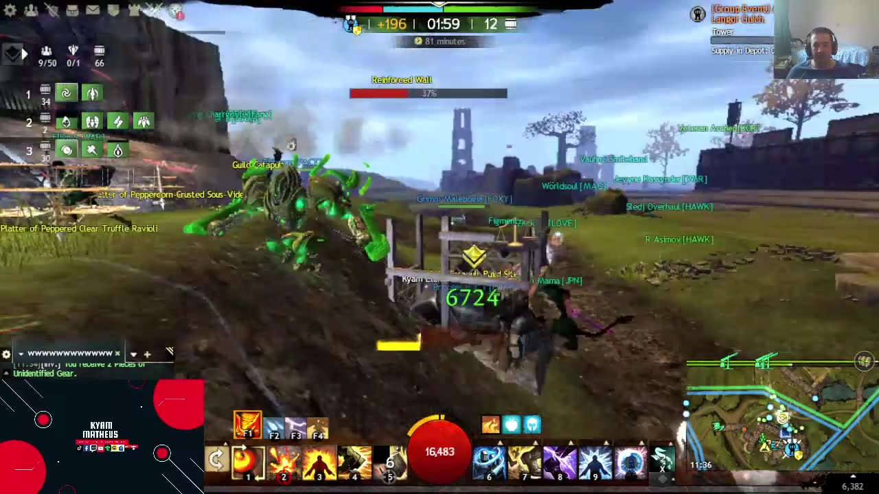 GW2 -FARMING ,SPVP and WvW MULTICLASS !!!!!