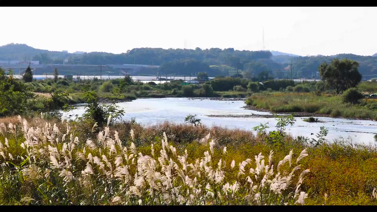 beautiful view of nature