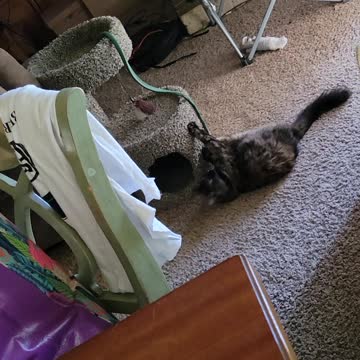 Boots still loves her snake