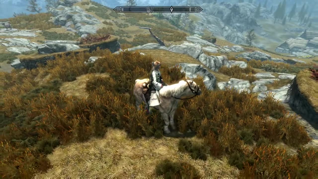 Skyrim: Weird horse glitch