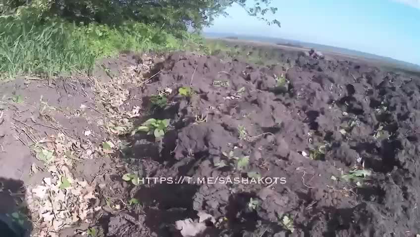 06.06.2022 Chronicle of military operations "Russia - Ukraine"