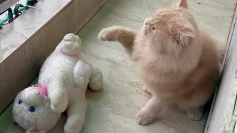 Do You want to play with me