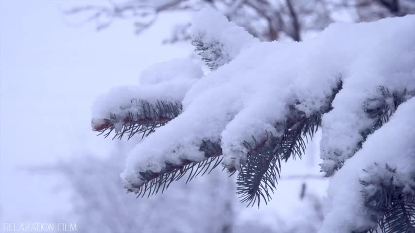 Winter Soundscape Nature Sounds