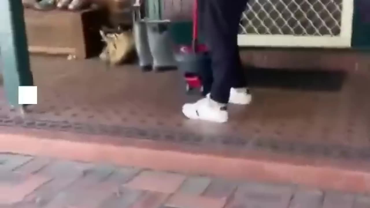 THE END FUNNY CLIPS!!