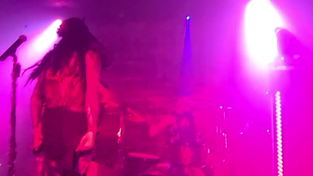 Mr. Lugosi Creature"