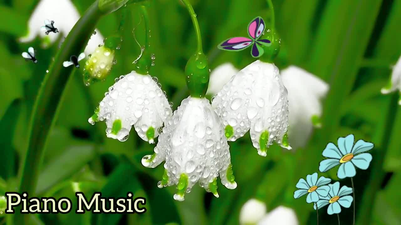 piano music relaxing piano music classical piano music calm piano music deep sleep music study music