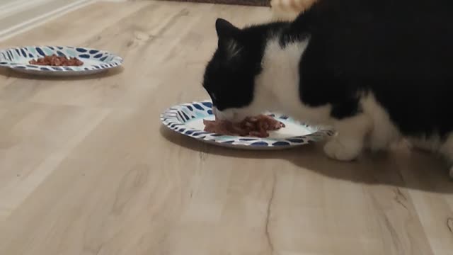 Eating