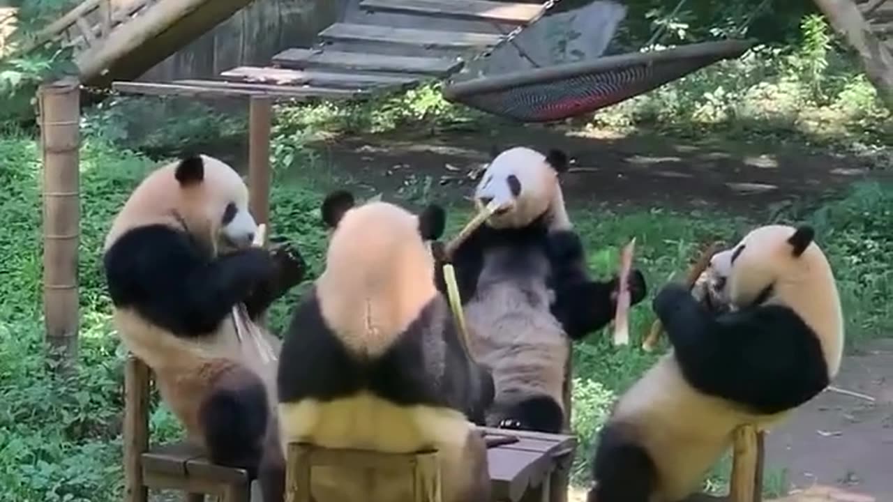 breakfast time