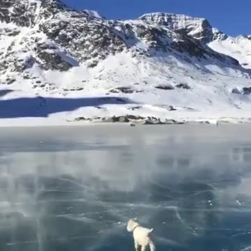 Ice running bog video