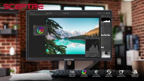 Sceptre 24" Professional Thin 75Hz 1080p LED Monitor