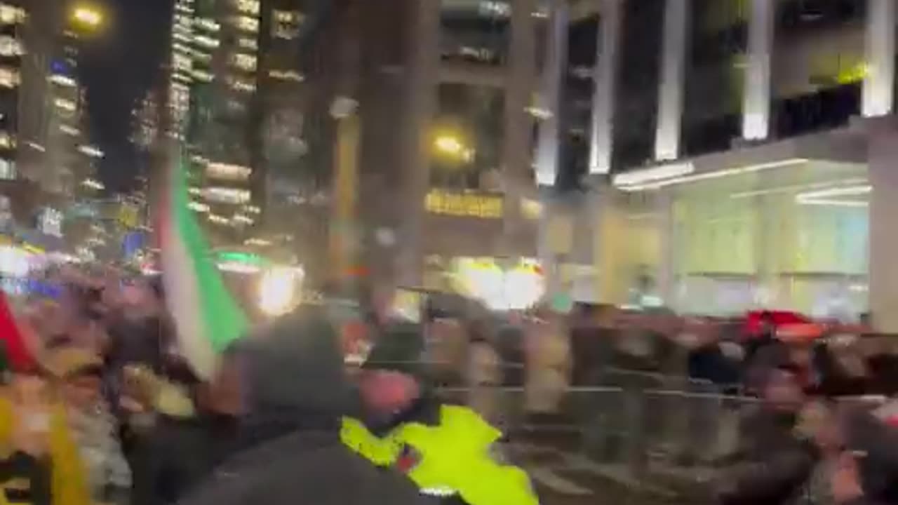 Pro-Hamas Mob Clashes With NYPD