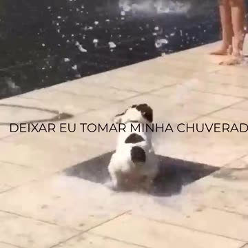 DEIXAR EU TOMAR MINHA CHUVERADA.