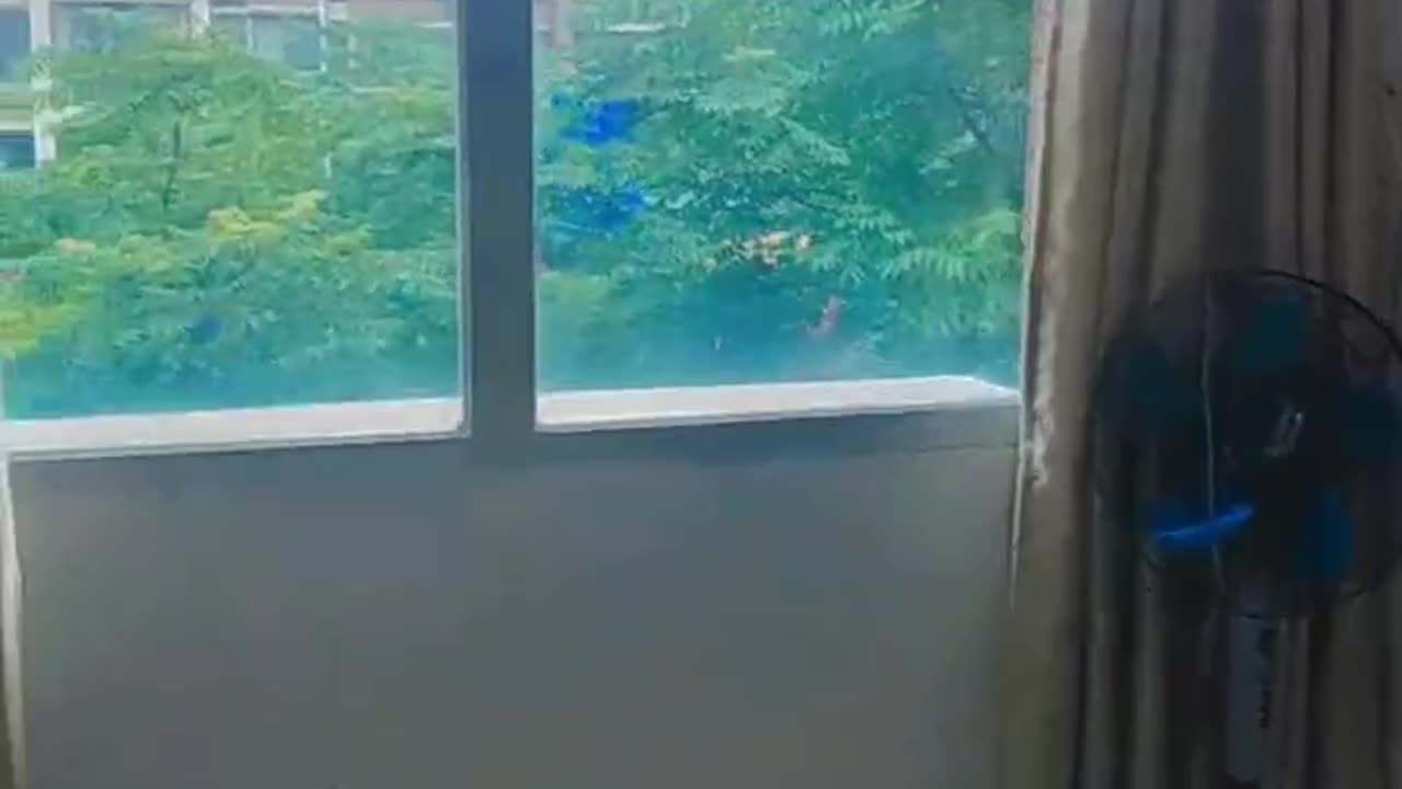 My room tour (medical University china)|Medical student