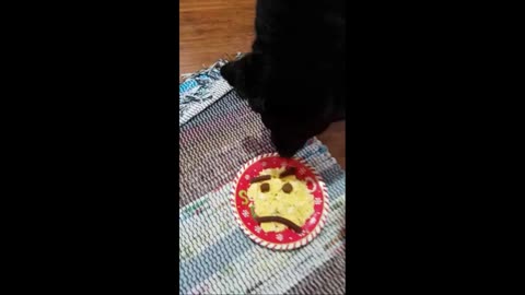 Dog Eats Food with a Face