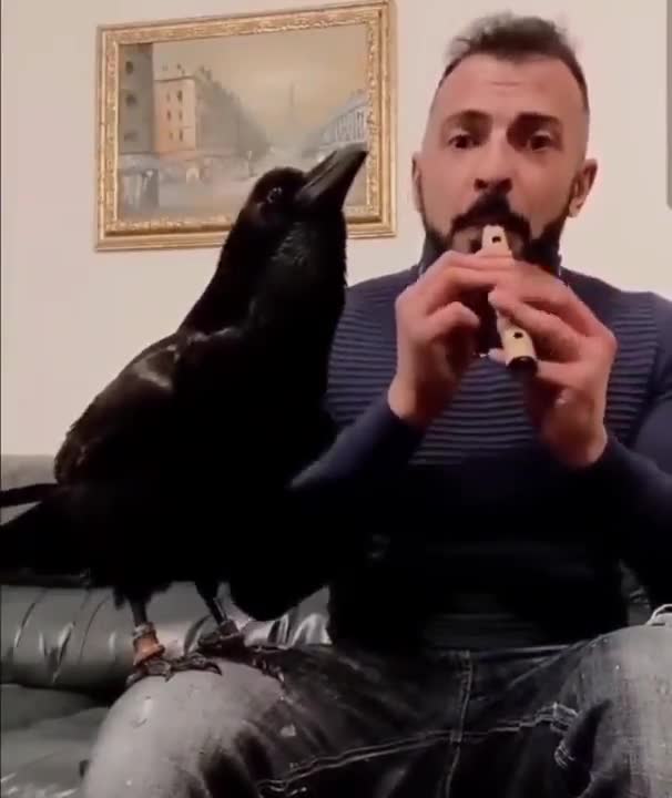 Man sing with a bird